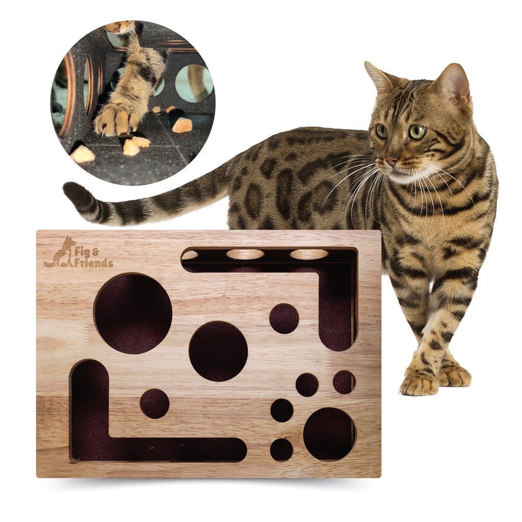 *The Original* Cat Nail File Enrichment Box