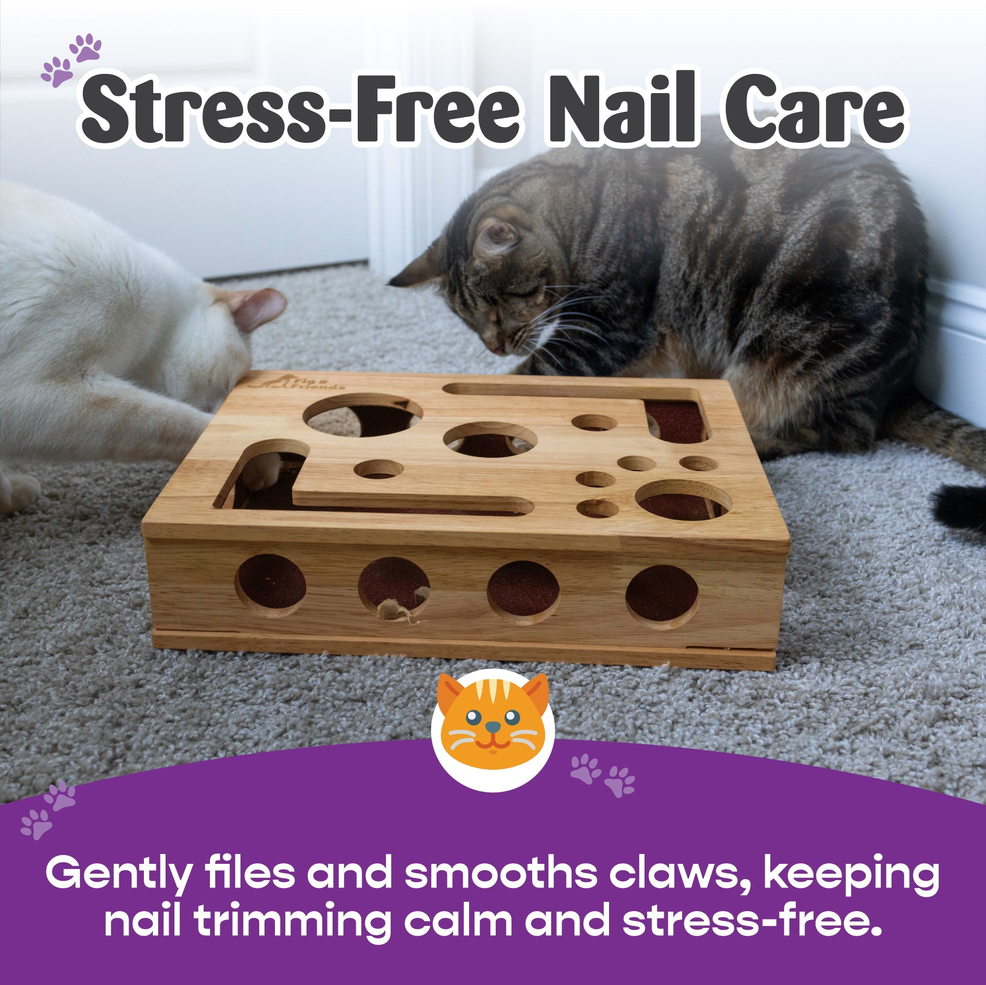 *The Original* Cat Nail File Enrichment Box