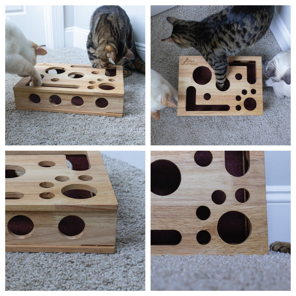 *The Original* Cat Nail File Enrichment Box